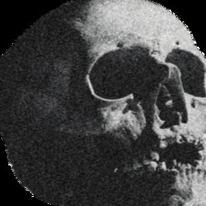 Meet your Posher, Magnum